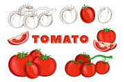 Vegetables in the Vintage Style, a Healthcare Illustration by Alfazet Chronicles (Thumbnail 8 of 15)