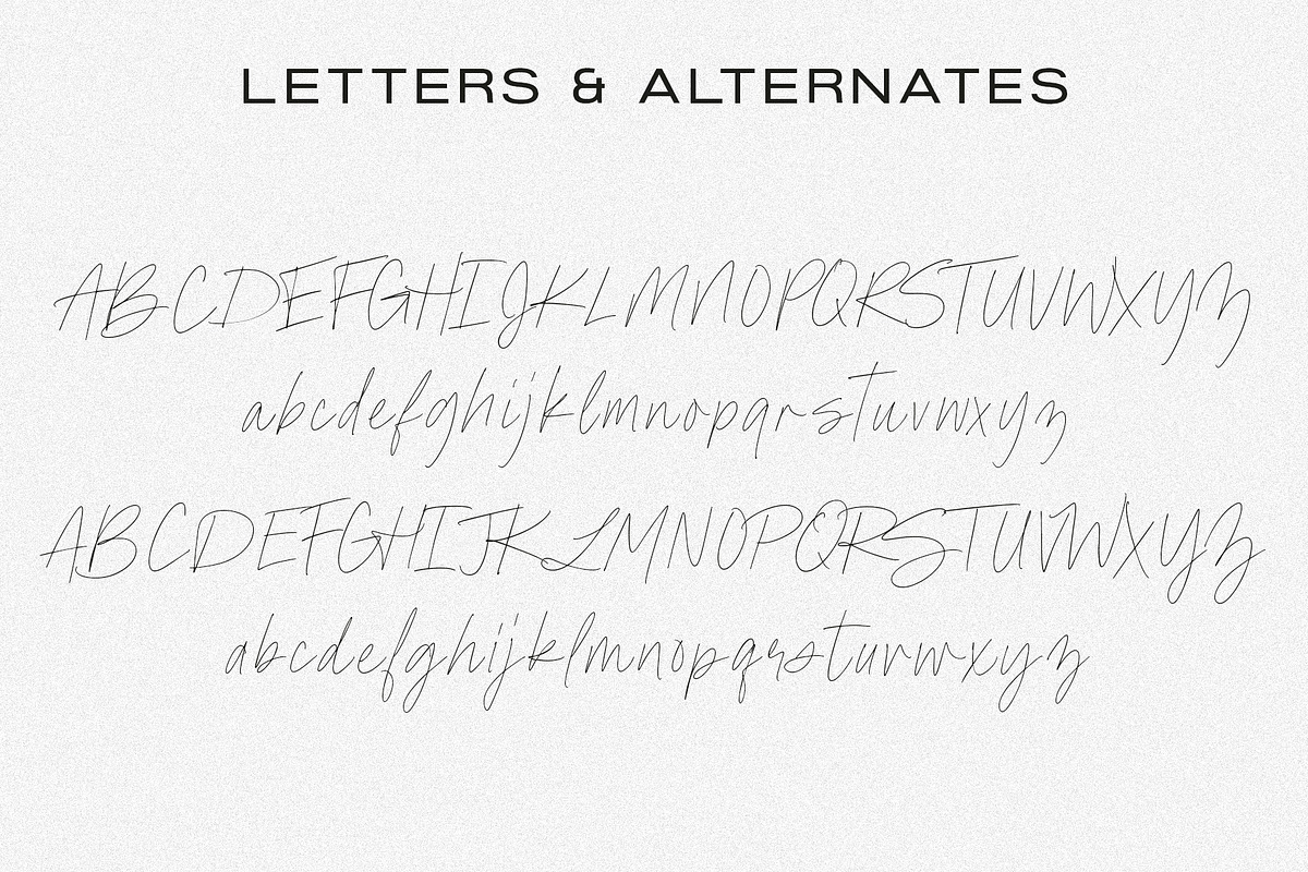 Avanti Casual Script in Bold & Thin, a Script Font by Jen Wagner Co (Photo 13 of 14)