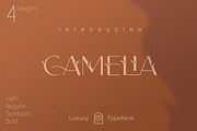 Camelia Sans - Unique Typeface, a Sans Serif Font by CCS Type (Thumbnail 1 of 16)