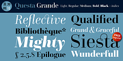 Questa Grande, a Serif Font by The Questa Project (Thumbnail 1 of 4)