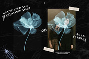 X-Ray Images Collection, a Background Graphic by Freezerondigital (Thumbnail 13 of 14)