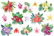 Orchid flowers watercolor, a Decorative Illustration by Hanna Hryharenka (Thumbnail 8 of 9)