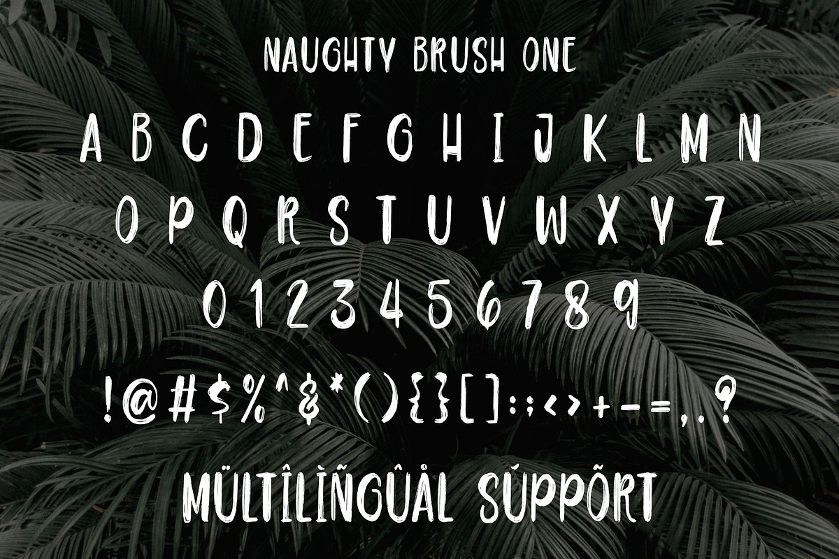 Naughty - Script brush, a Script Font by Good Java Studio (Photo 12 of 12)