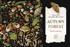 Autumn Forest. Big Graphic Set.