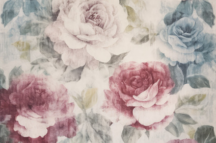 linen background with Burgundy roses, a Background Photo by Virgo Studio