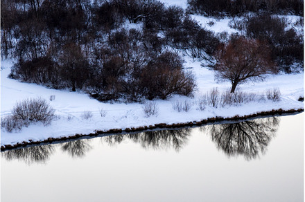 Tree in winter in silhouette with, a Nature Photo by darksoul72