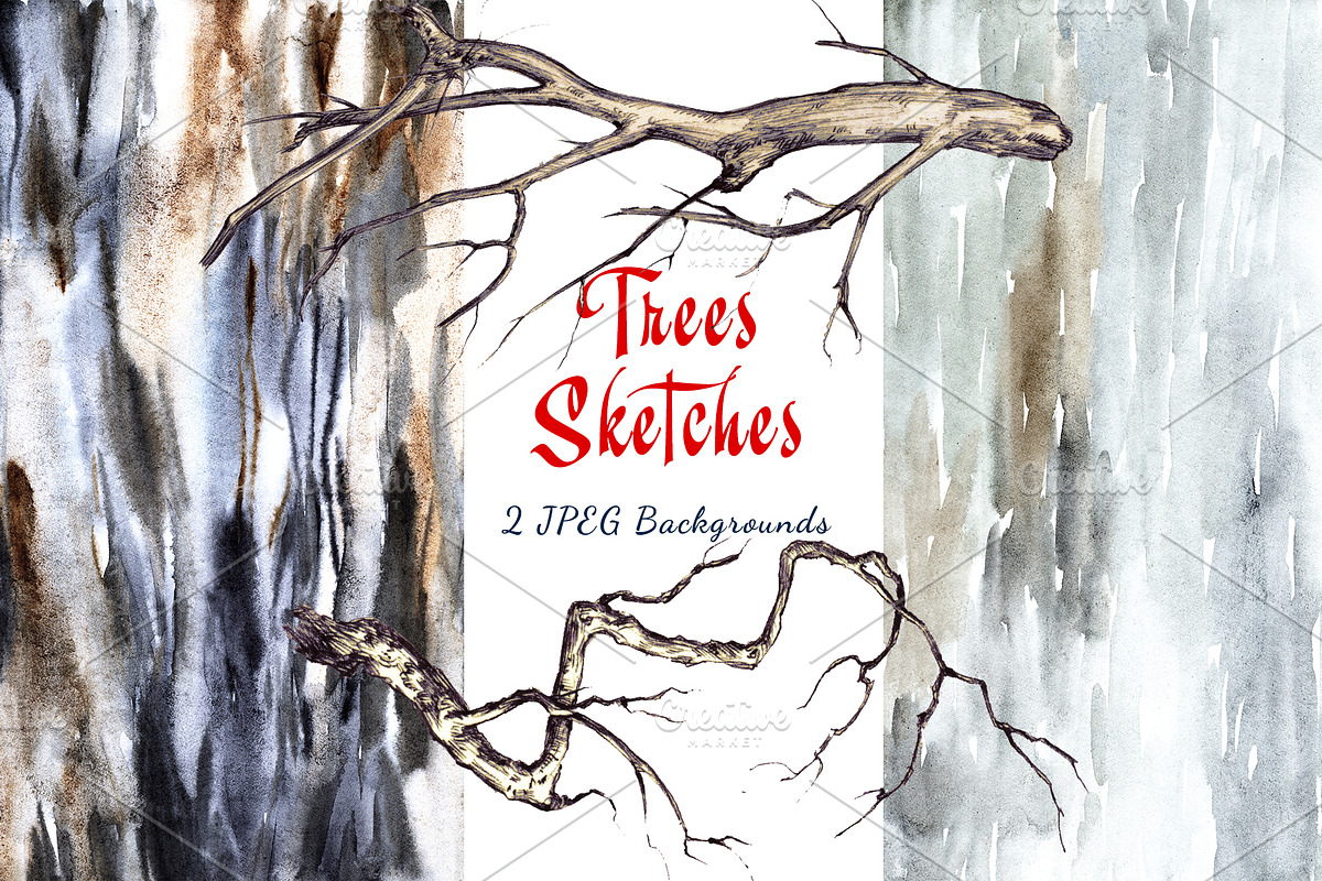 Trees Sketches, an Illustration by Nadiia Hanina (Photo 3 of 5)