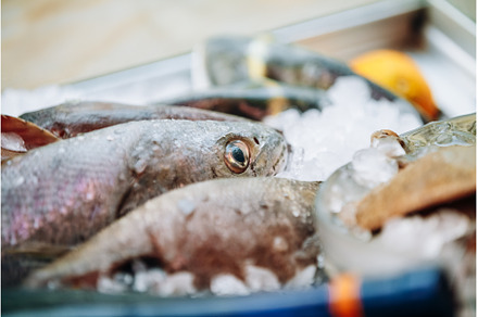 Delicious fish on ice on market, a Food & Drink Photo by Our Amazing World