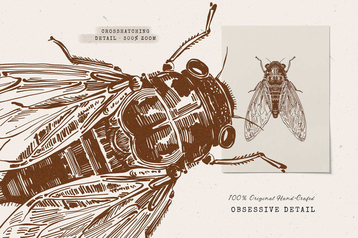 Dark Academia Autumn | Illustration, an Object Illustration by KetteCreate (Photo 10 of 18)