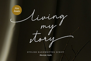 Living my story