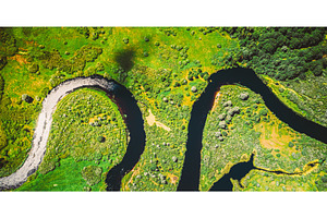 Aerial View Green Forest Woods And, a Nature Photo by Our Amazing World