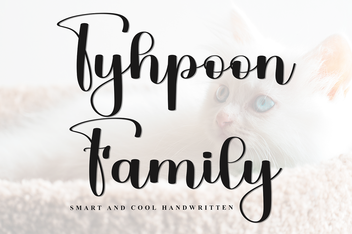 Tyhpoon Family, a Handwritten Font by FreshTypeINK (Photo 1 of 8)