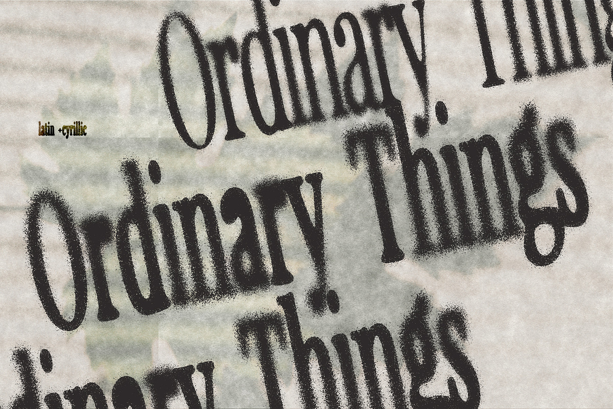 Private Press – Distressed Serif, a Slab Serif Font by nadispasibenko (Photo 5 of 6)