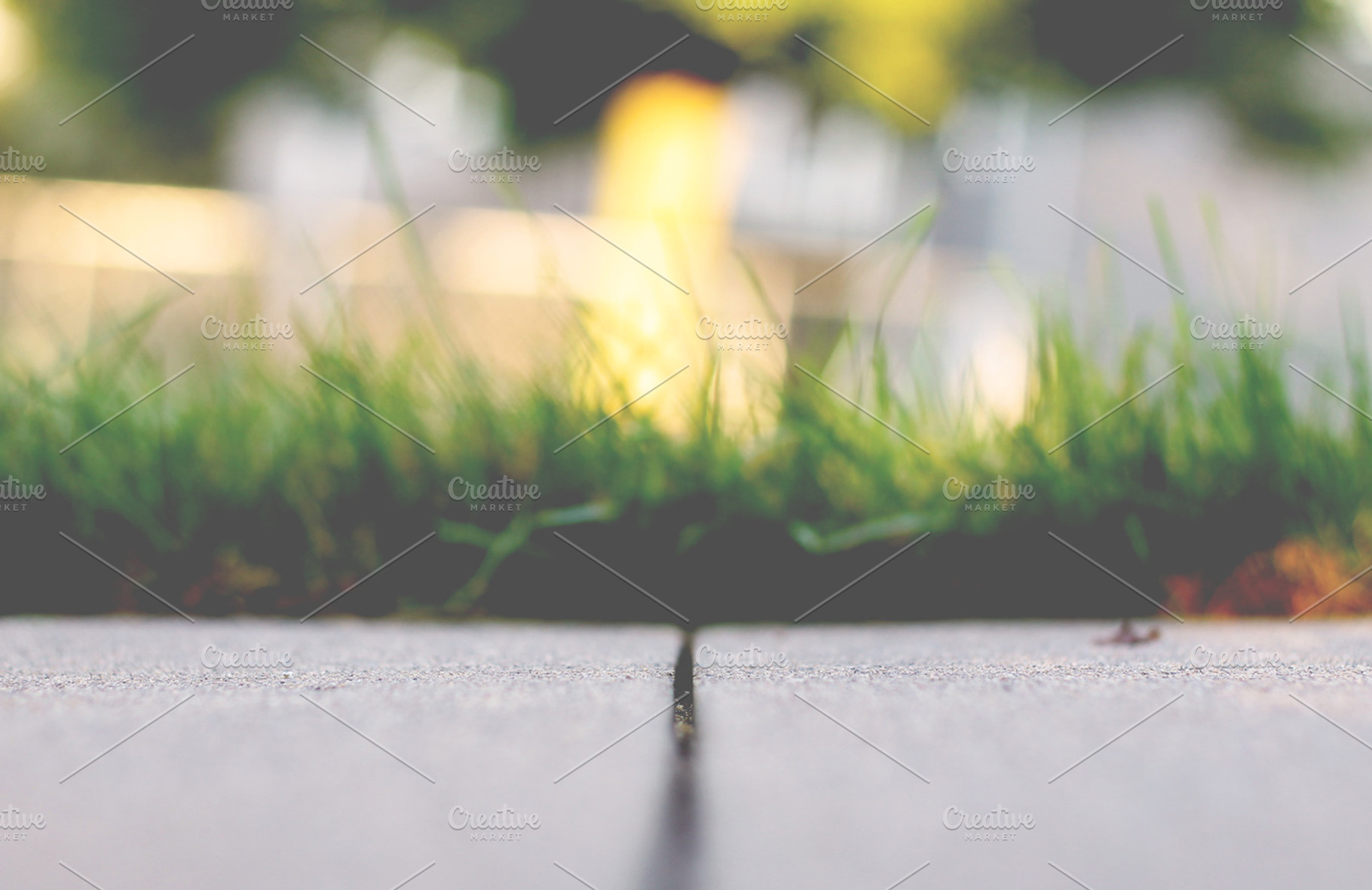 Crack In The Sidewalk