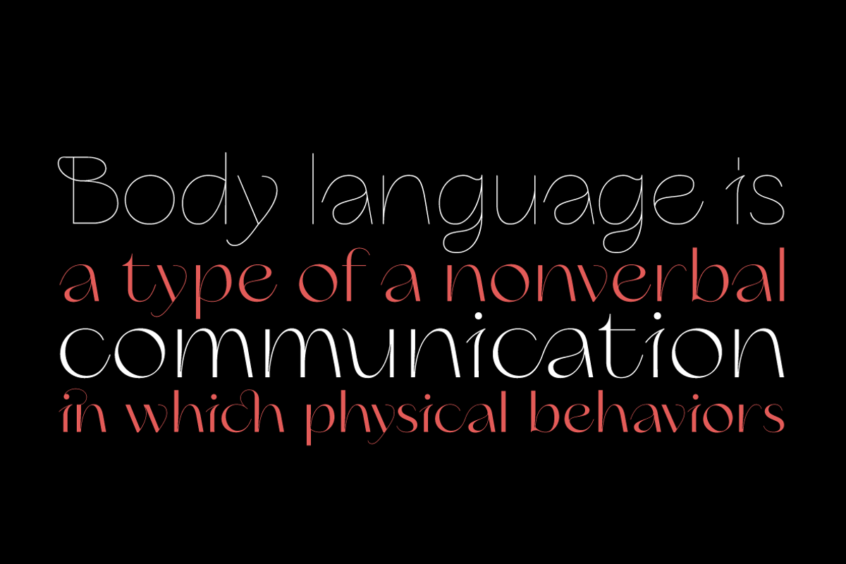 Erotique Sans - 10 fonts, a Sans Serif Font by Zetafonts (Photo 12 of 18)