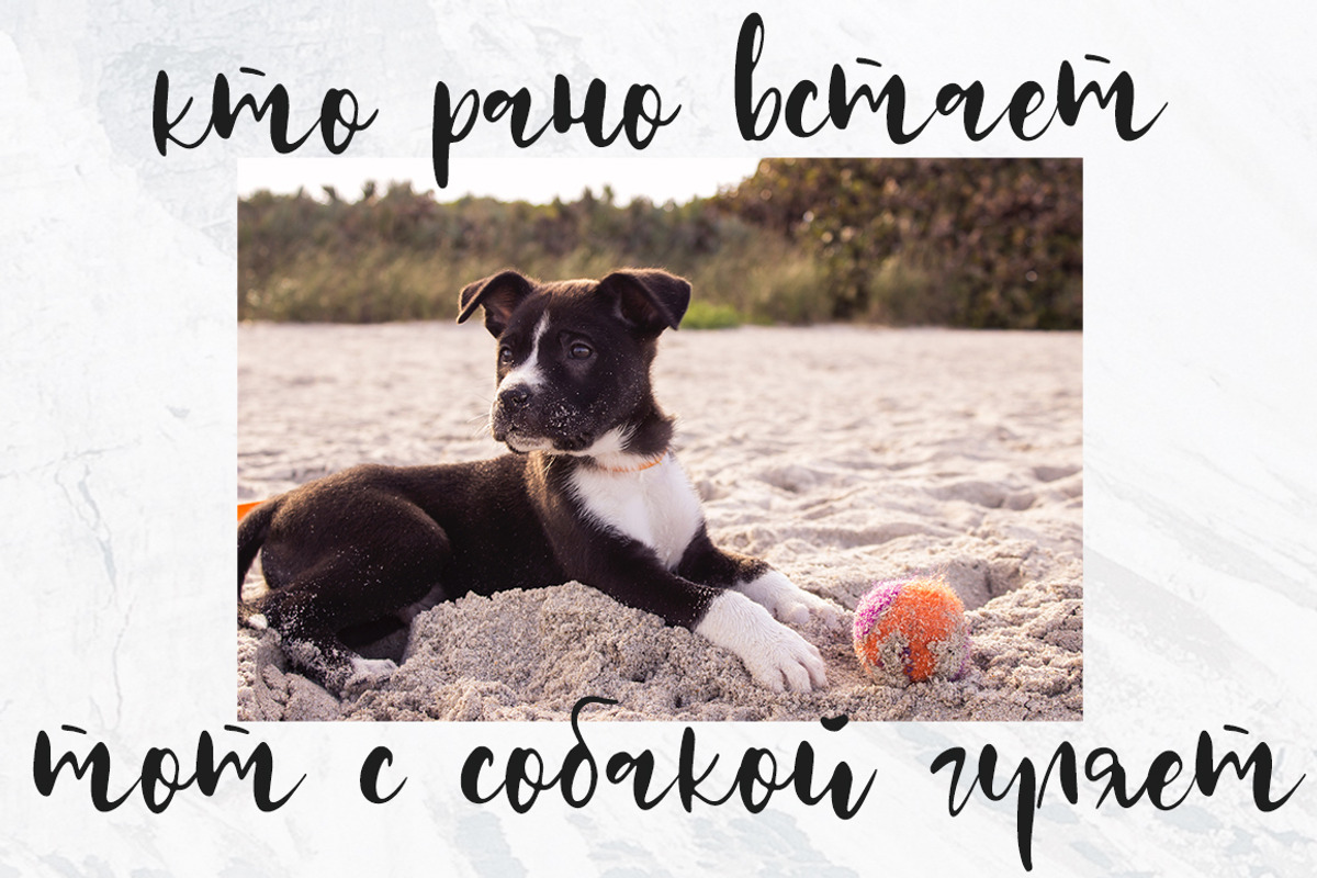 Rockies / Cyrillic & Latin/ Sale 99%, a Script Font by Katie Holland (Photo 9 of 9)