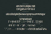 Waflerd Modern Display Font, a Serif Font by Letterena Studios (Thumbnail 13 of 15)