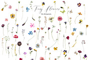 Tiny Flowers Pressed Floral Clipart, an Illustration by whiteheartdesign (Thumbnail 16 of 17)