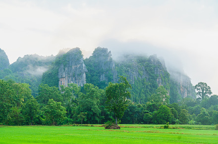 Lush green landscape with misty mountains and trees in background, creating ser, a Photo by a454