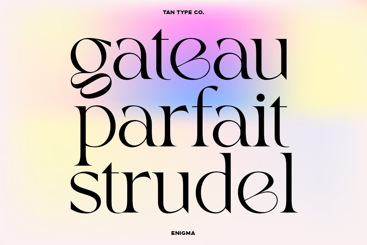 TAN - ENIGMA, a Serif Font by TanType (Photo 10 of 16)