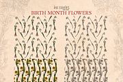 Birth Month Flowers Handcrafted, a Decorative Illustration by Ink Stories (Thumbnail 6 of 15)
