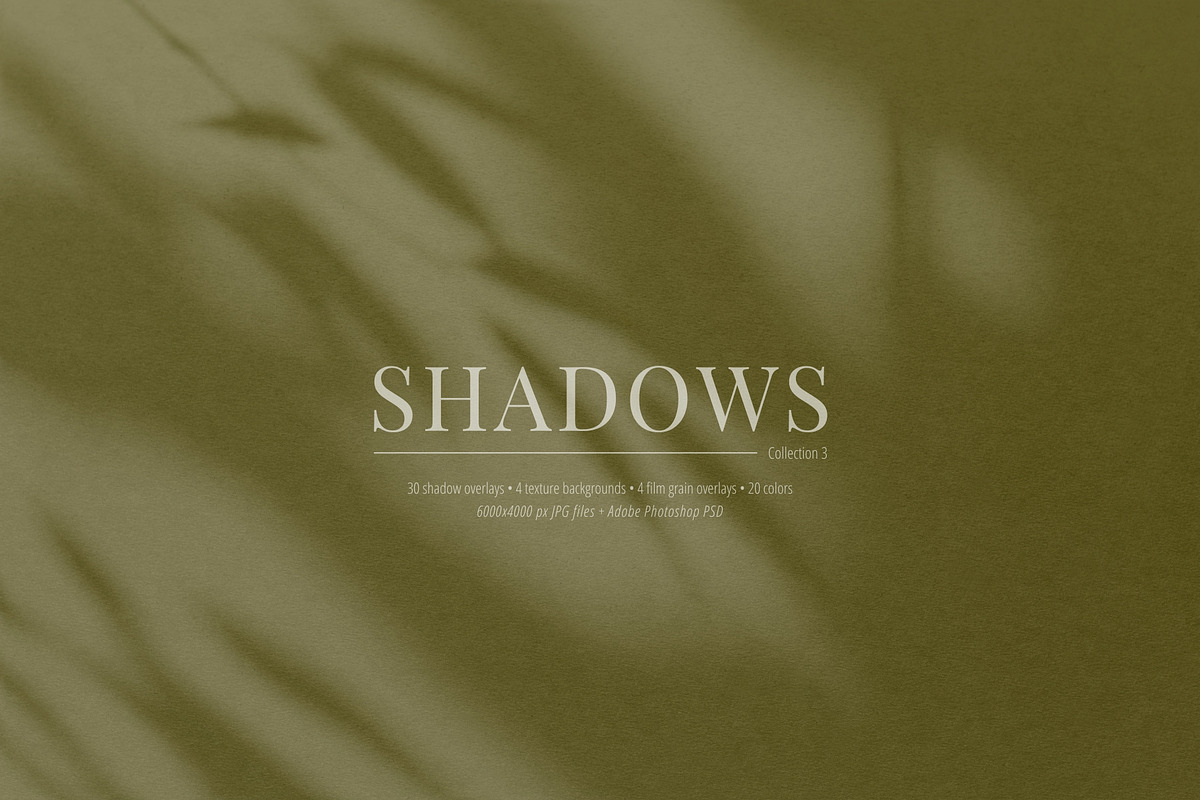 30 Shadow Overlays vol. 03 Plants, a Background Graphic by DESIGN BY nube (Photo 5 of 10)