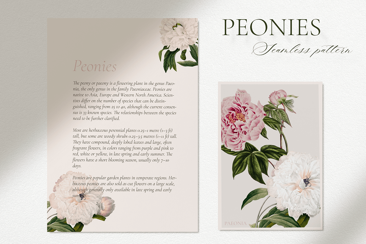 PEONIES Seamless Pattern, a Pattern Graphic by Splash! (Photo 7 of 10)