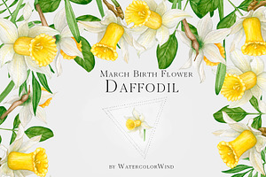 Daffodil Birth Month Flower Clipart
