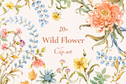 Wild Flower Clip art, a Decorative Illustration by Ekaproeka (Thumbnail 1 of 10)
