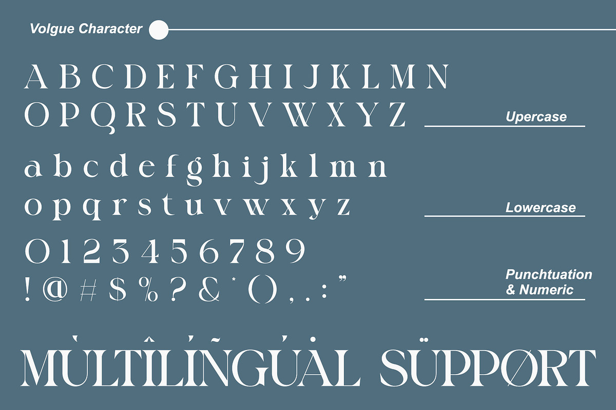 Volgue Modern Serif Font, a Serif Font by Alfinart (Photo 6 of 10)
