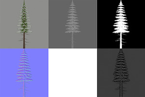 Canadian Spruce Tree Snow V3