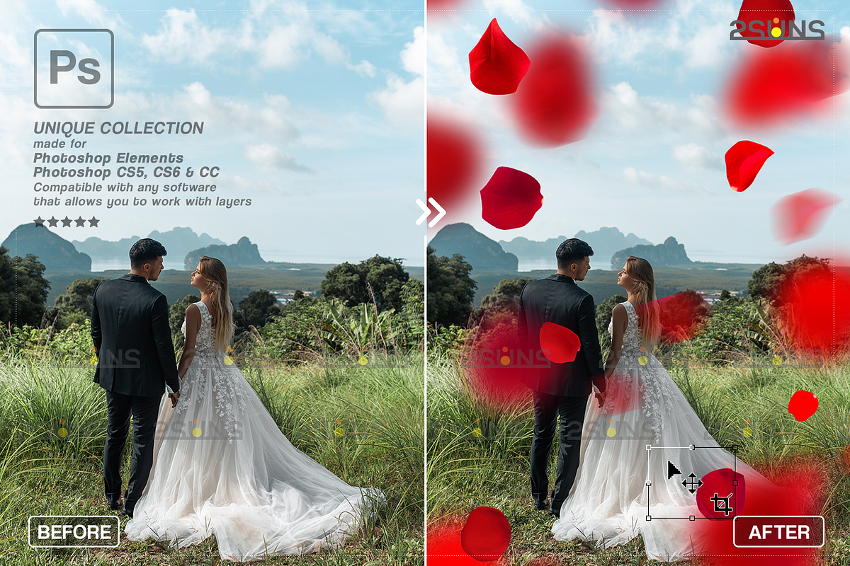 RED Rose Petals photo overlays, an Object Graphic by 2SUNS (Photo 9 of 10)