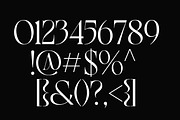 Risean Modern Serif Font, a Serif Font by Luna Shop (Thumbnail 4 of 8)