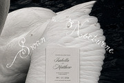 Swan Nocturne Editorial Mockups, an Advertising Mockup by Muse Mockups (Thumbnail 9 of 12)