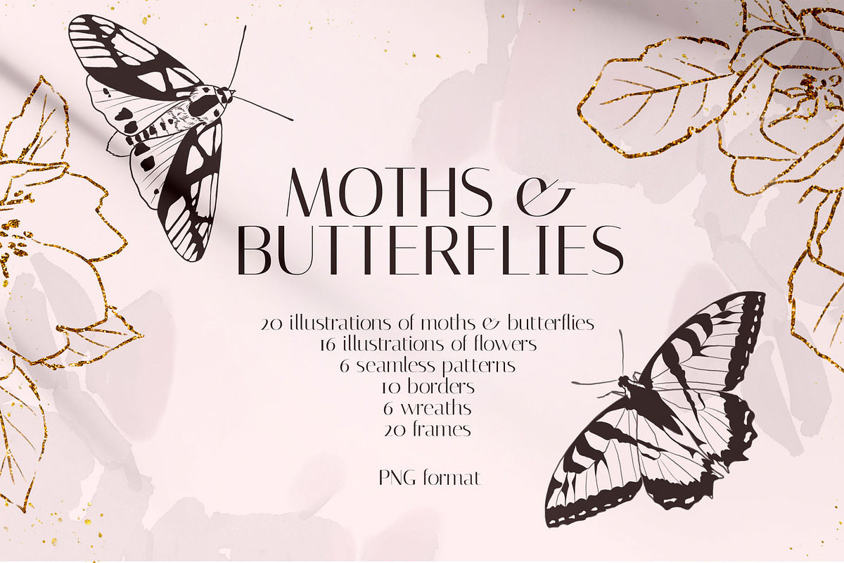 MOTHS & BUTTERFLIES illustration set, an Animal Illustration by Yuliia Lashevska (Photo 1 of 13)
