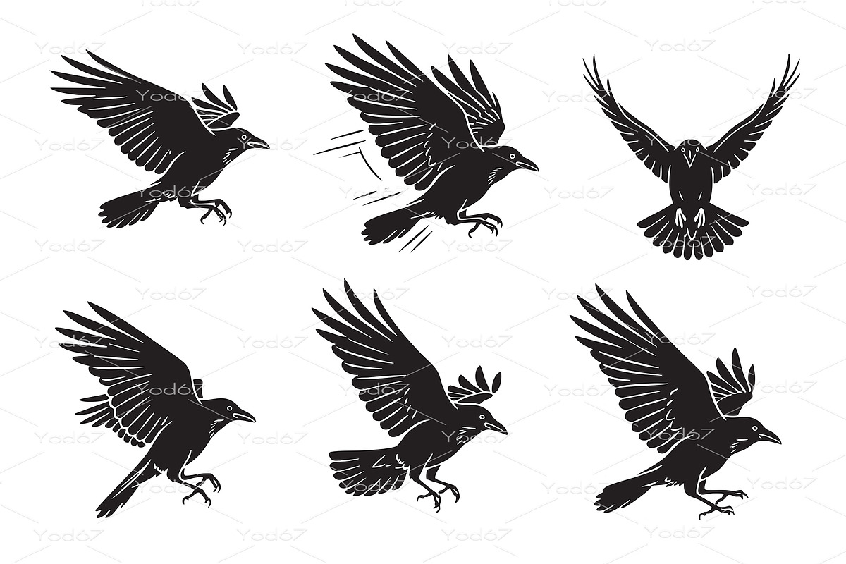 Set of crows or ravens in flight., an Animal Illustration by yod67