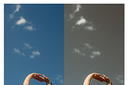 65 Film Emulation Lightroom Presets, a Preset Add-On by Daily Studio (Thumbnail 2 of 10)