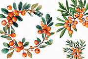 Watercolor Sea Buckthorn berry Clipa, an Illustration by Libby Wishes (Thumbnail 6 of 7)