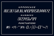 Saxondo font, a Serif Font by VectorCraft (Thumbnail 3 of 4)