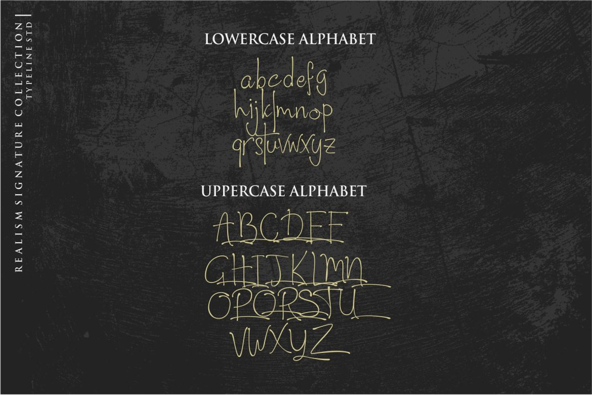 South City Realism Script, a Script Font by typeline studio (Photo 10 of 13)