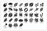 36 Autumn Elements + 12 Patterns, a Graphic by monkik (Thumbnail 9 of 12)