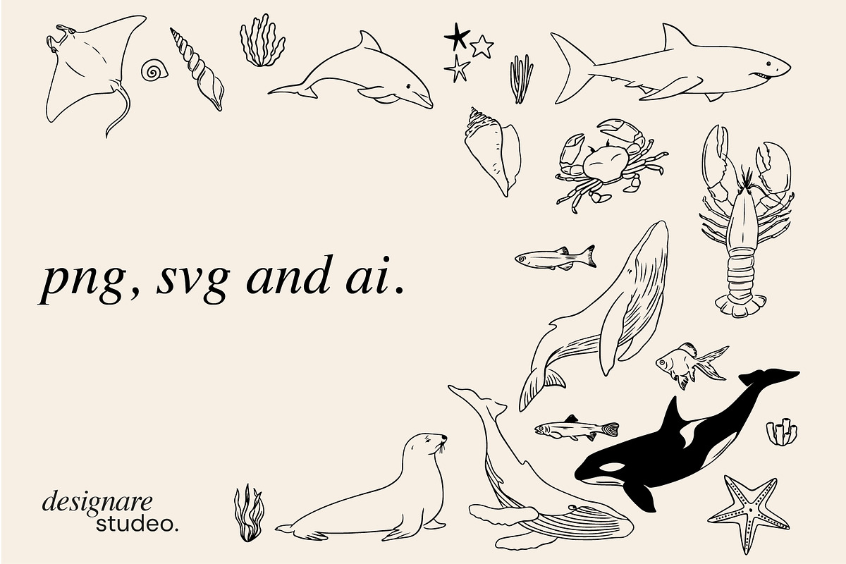 The Sea Minimal Illustrations, a Decorative Illustration by ginni illustrations (Photo 5 of 6)