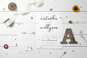 Nafigat Script, a Script Font by Stipline Studios (Thumbnail 9 of 14)