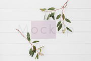 5x7 Stationery Mockup - Eucalyptus 1, a Print Template by ILLONA GRAPHICS (Thumbnail 2 of 5)