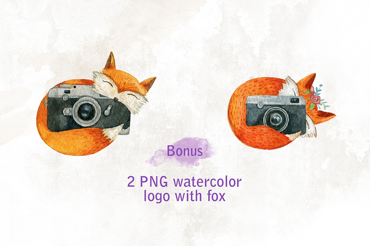 Cameras & plants. Watercolor set, an Illustration by Nastilustra (Photo 8 of 8)