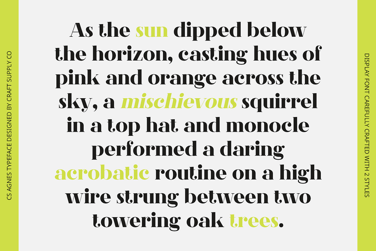 CS Agnes – Serif Font, a Serif Font by Craft Supply Co. (Photo 4 of 8)