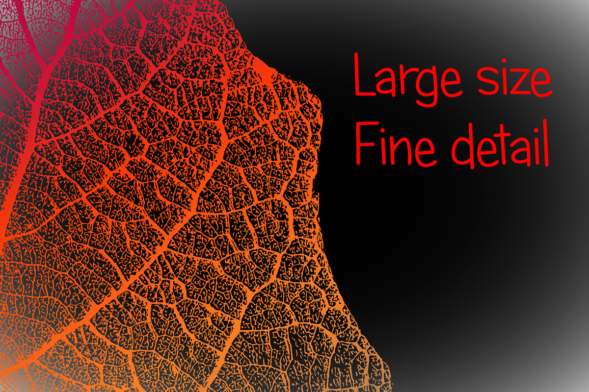 Leaf Structure Skeletons, a Brush Add-On by Kseniya-Omega (Photo 6 of 7)