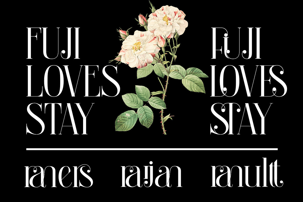 Bralgine A Modern Ligature Serif, a Serif Font by Alfinart (Photo 9 of 10)