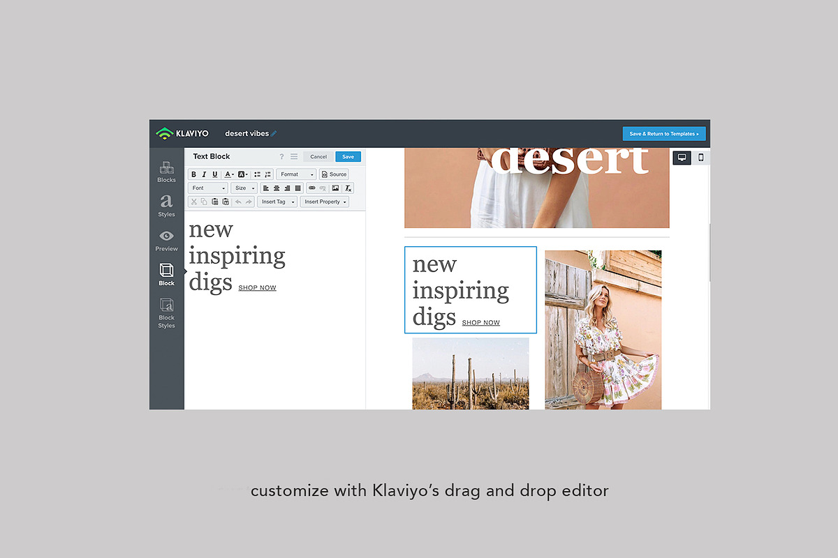Klaviyo Email Template -Desert Vibes, an Email Template by Edit & Go Templates (Photo 2 of 4)
