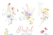 Watercolor Flower -PASTEL WILDFLOWER, a Decorative Illustration by Beigetime (Thumbnail 5 of 15)